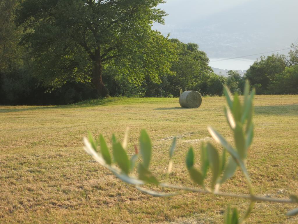 Agriturismo Deviscio Lecco Luaran gambar