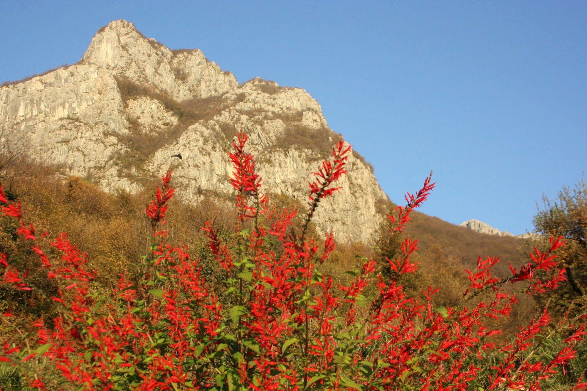 Agriturismo Deviscio Lecco Luaran gambar